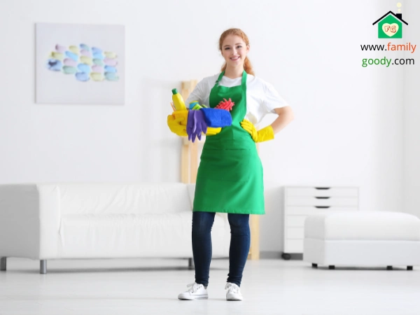 professional cleaning service company