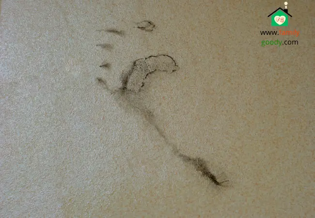 types of foot prints