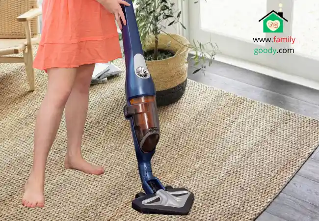 Best Vacuum Cleaner for Jute Rug